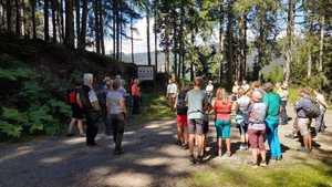 Wald8