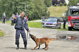 image00008