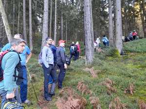 IMG-20241027-WA0002