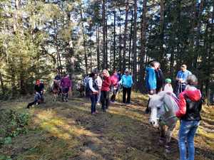 IMG-20241027-WA0003
