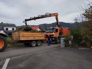 IMG 20241014 134901
