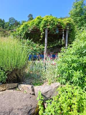 IMG-20250613-WA00411