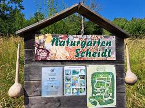 IMG-20250701-WA0014