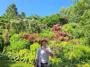 IMG-20250701-WA0019