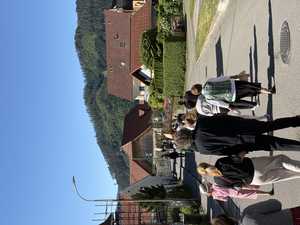 IMG 1946.